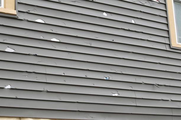 Best Custom Trim and Detailing for Siding  in Kiel, WI